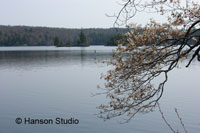 Stoddard, NH - Island Pond - spring
